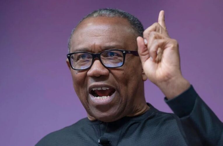 I’m ready to collaborate with anyone as vice presidential candidate – Peter Obi (Video)