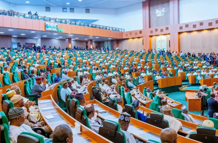 Constitution Amendment: Reps Give Support to Independent Candidature