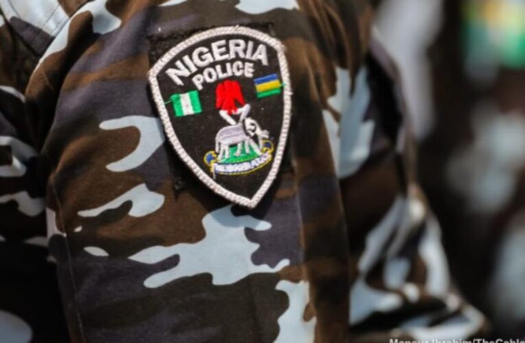 Police reject N174m offered by arrested fraudster